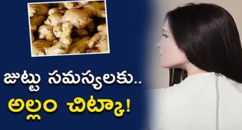 జుట్టు రాలకుండా అల్లం చిట్కా పాటించండి..
